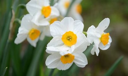 ���̐���