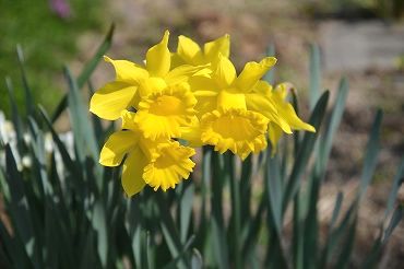 ���̐���