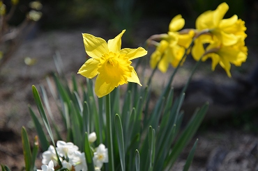 ���̐���